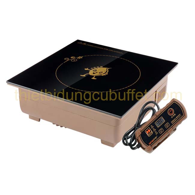 Bếp từ buffet vuông XP-X300