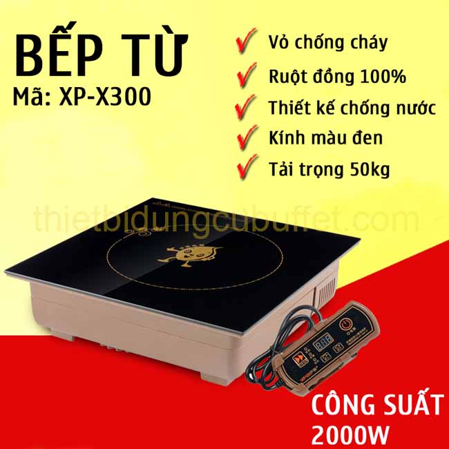 thong-tin-bep-tu-buffet-XP-X300.jpg