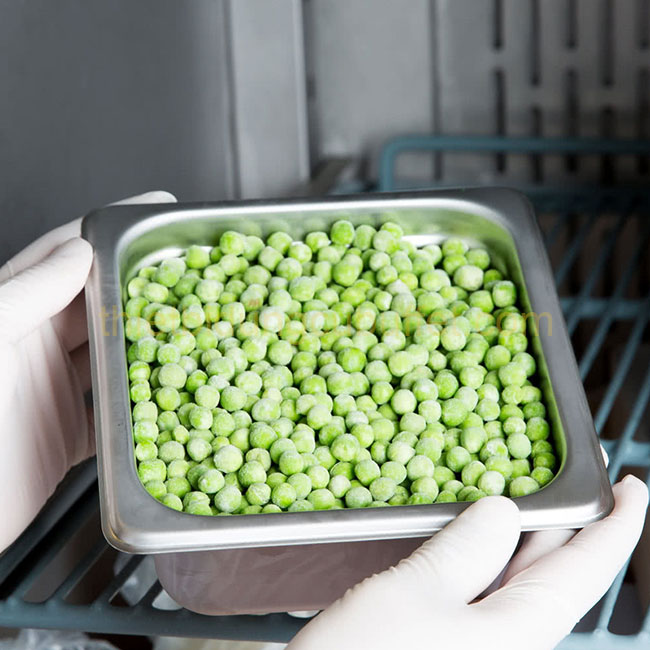 khay gn 1/4 có ngấn chống kẹt sâu 65 mm