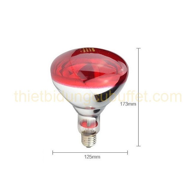 Kích thước bóng đèn hâm nóng thức ăn