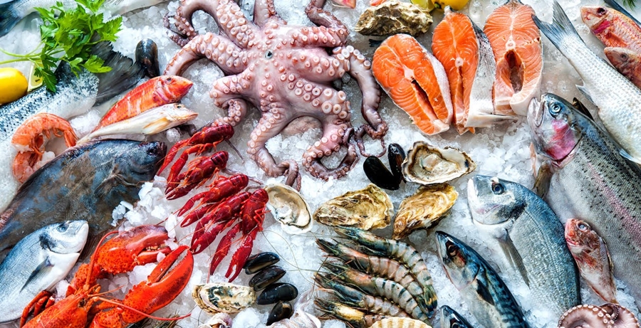 Kệ trưng bày giữ hải sản lạnh lâu Kệ trưng bày giữ hải sản lạnh lâu